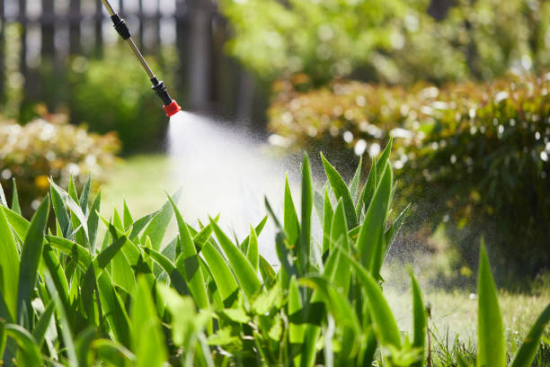24/7 Emergency Wasp Removal experts in Horace, ND